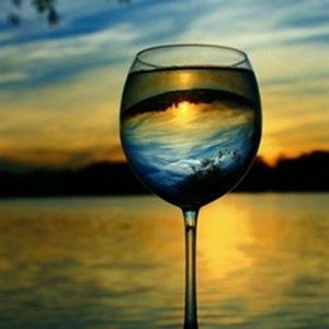 Meet your Posher, Janine